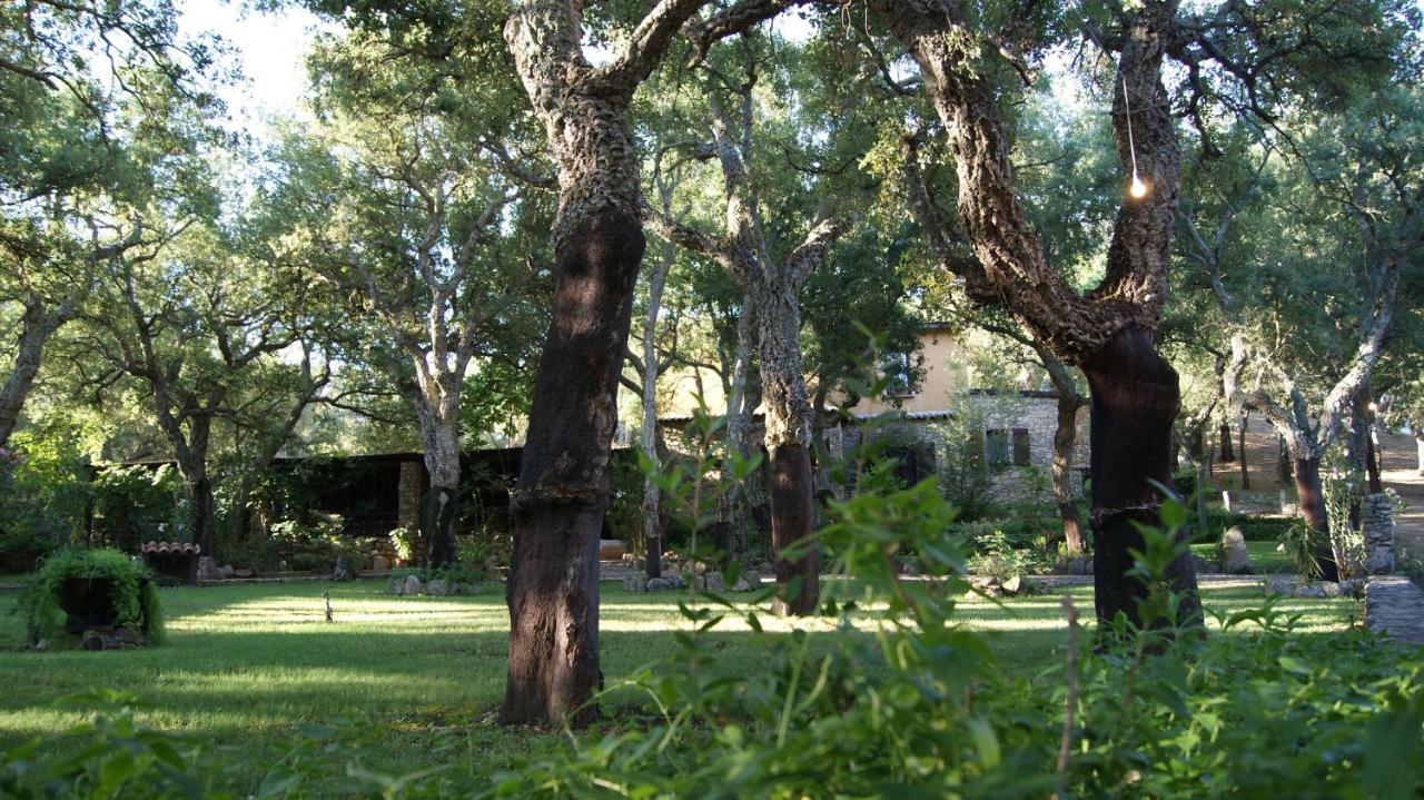 Farm stay Le Sughere *